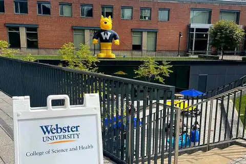 Bachelor education secondary chemistry Webster